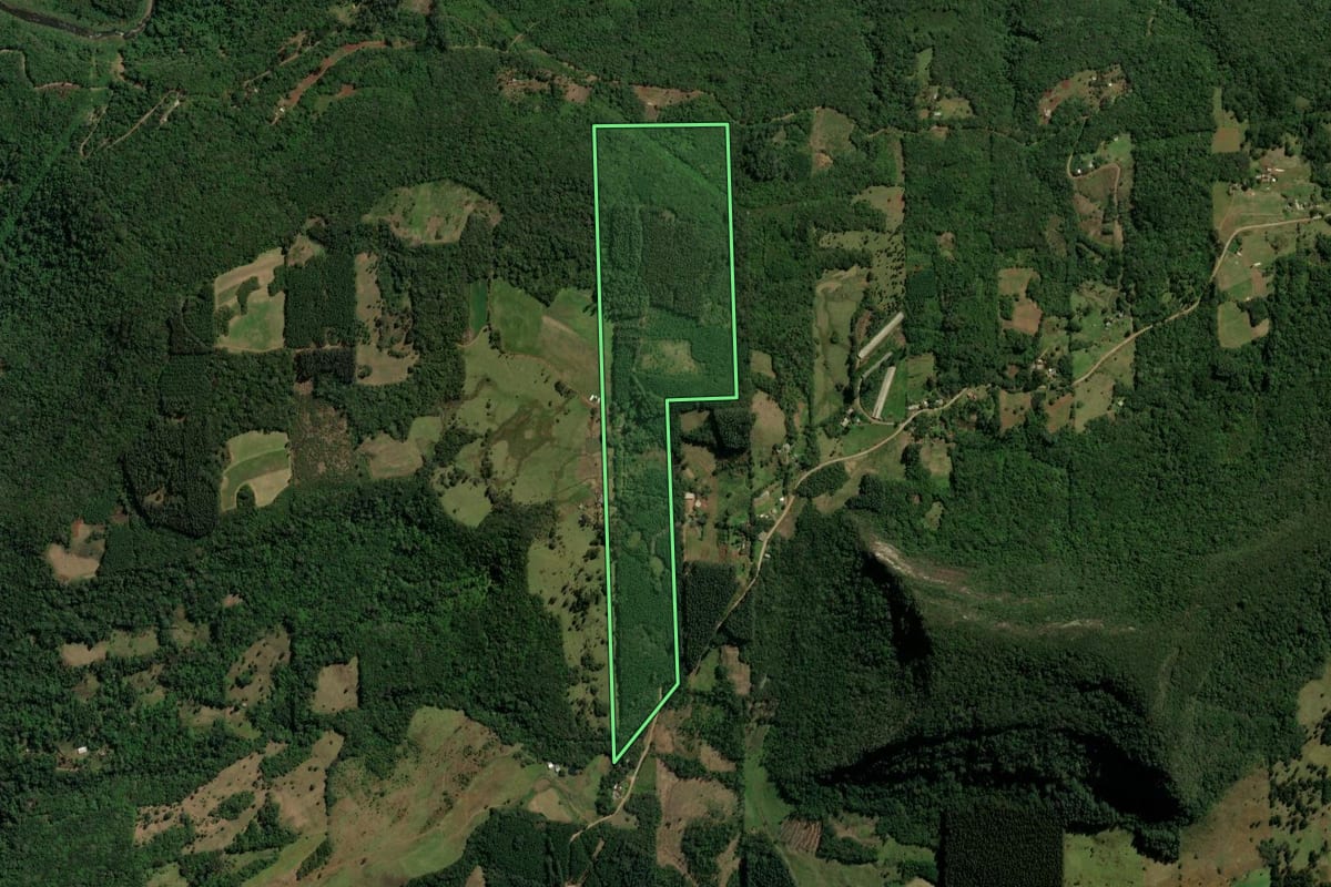 Imagem de satélite do imóvel rural em Canela (RS), com o contorno declarado no CAR desenhado por cima.