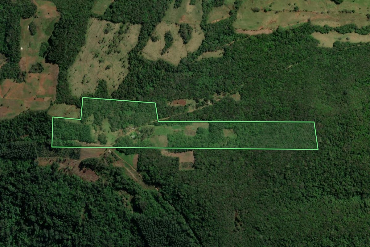 Imagem de satélite do imóvel rural em Canela (RS), com o contorno declarado no CAR desenhado por cima.