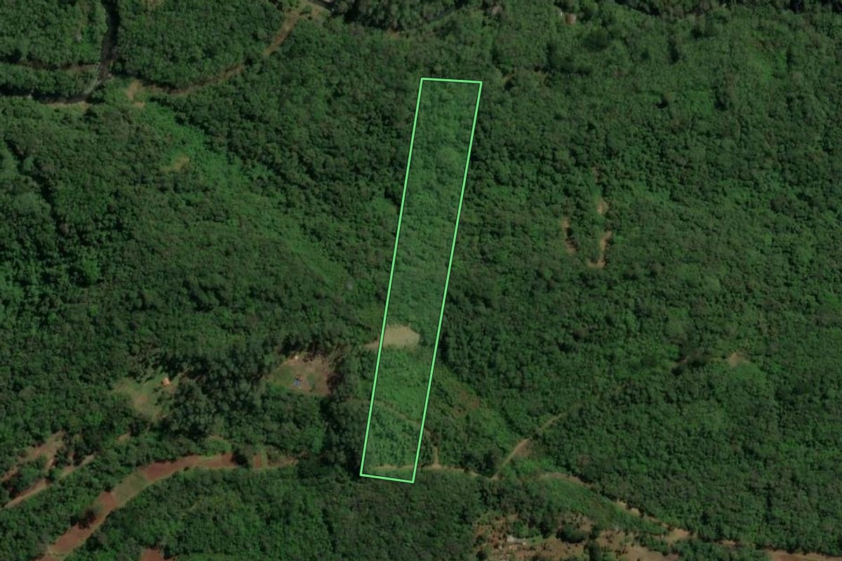 Imagem de satélite do imóvel rural em Canela (RS), com o contorno declarado no CAR desenhado por cima.