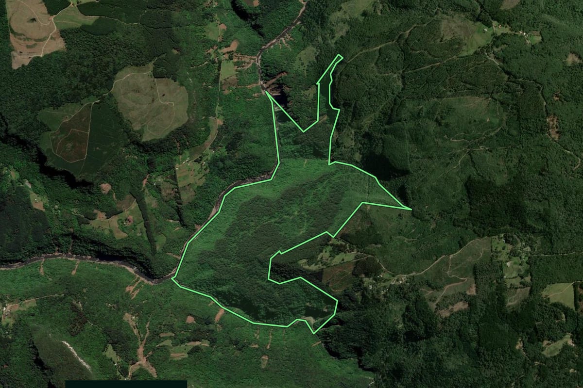 Imagem de satélite do imóvel rural em Canela (RS), com o contorno declarado no CAR desenhado por cima.