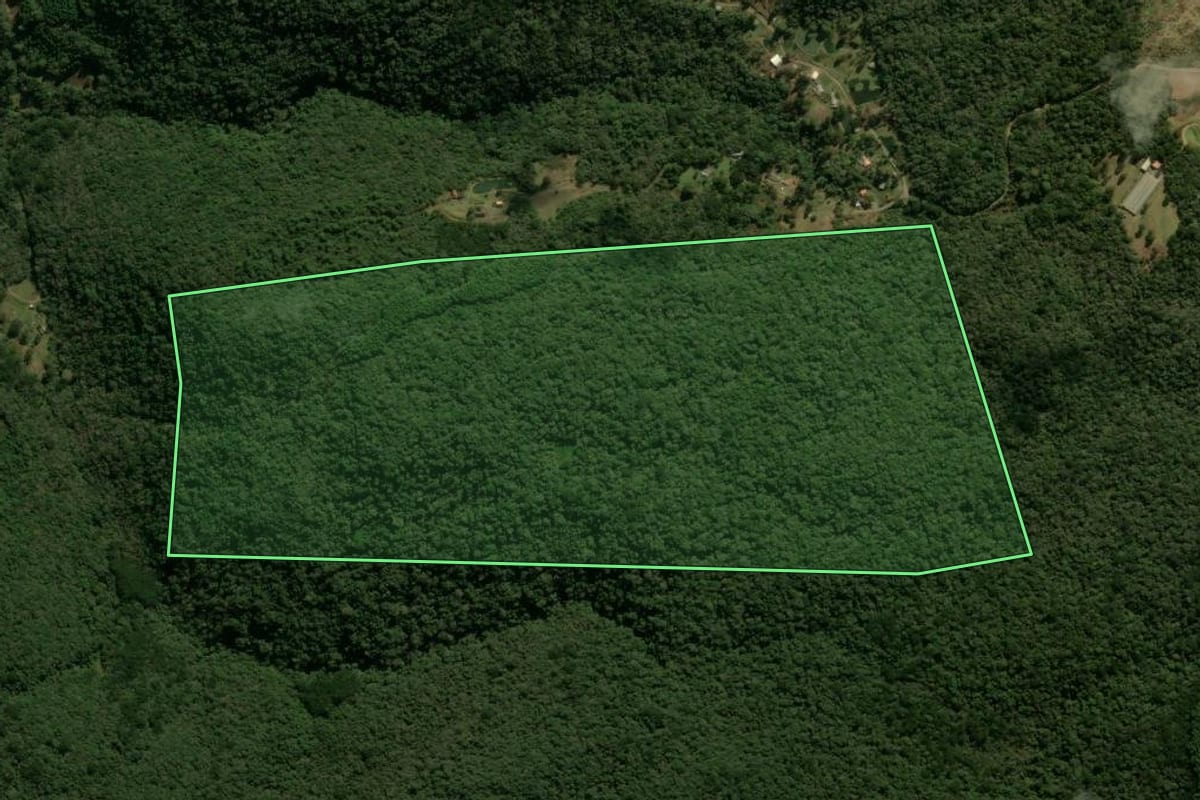 Imagem de satélite do imóvel rural em Canela (RS), com o contorno declarado no CAR desenhado por cima.