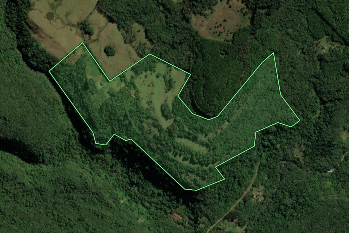 Imagem de satélite do imóvel rural em Canela (RS), com o contorno declarado no CAR desenhado por cima.