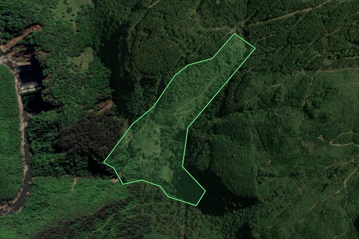 Imagem de satélite do imóvel rural em Canela (RS), com o contorno declarado no CAR desenhado por cima.