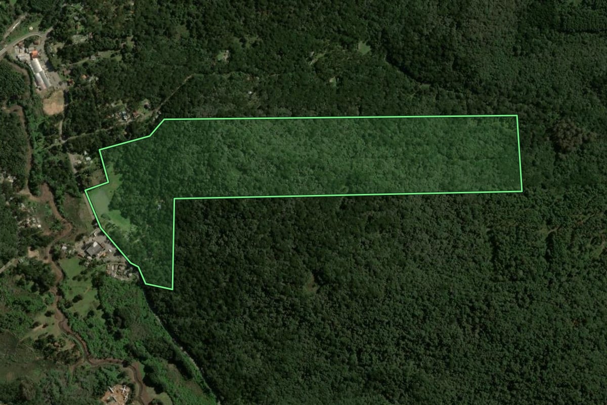 Imagem de satélite do imóvel rural em Canela (RS), com o contorno declarado no CAR desenhado por cima.