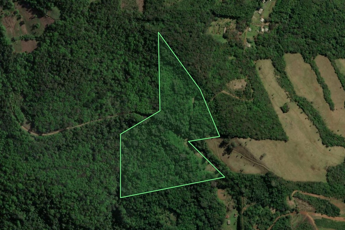 Imagem de satélite do imóvel rural em Canela (RS), com o contorno declarado no CAR desenhado por cima.