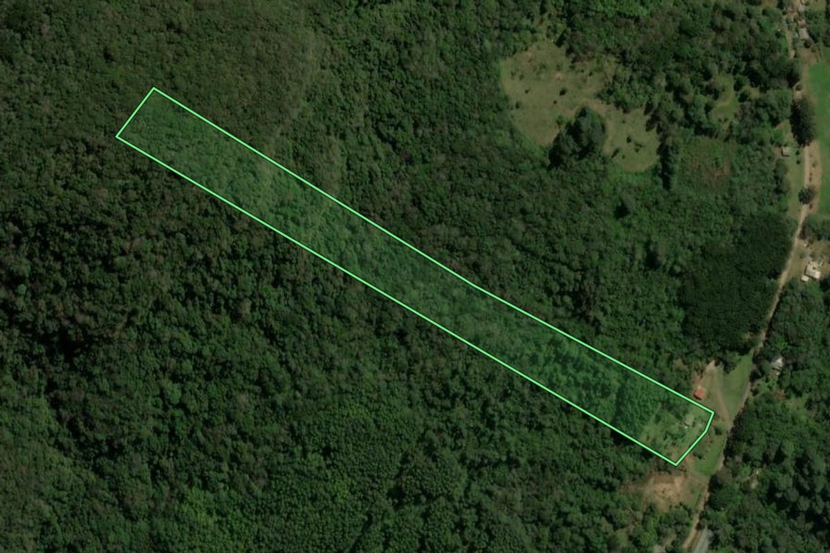 Imagem de satélite do imóvel rural em Canela (RS), com o contorno declarado no CAR desenhado por cima.