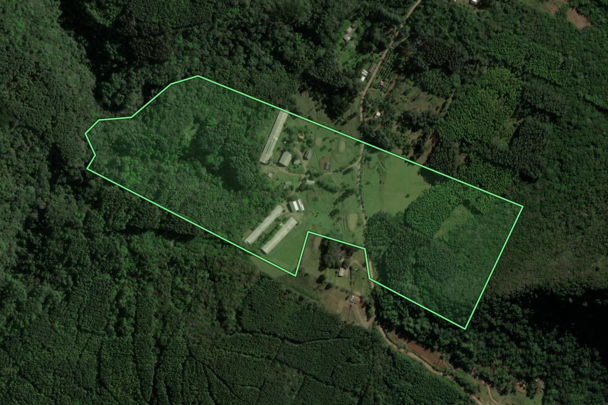 Imagem de satélite do imóvel rural em Canela (RS), com o contorno declarado no CAR desenhado por cima.