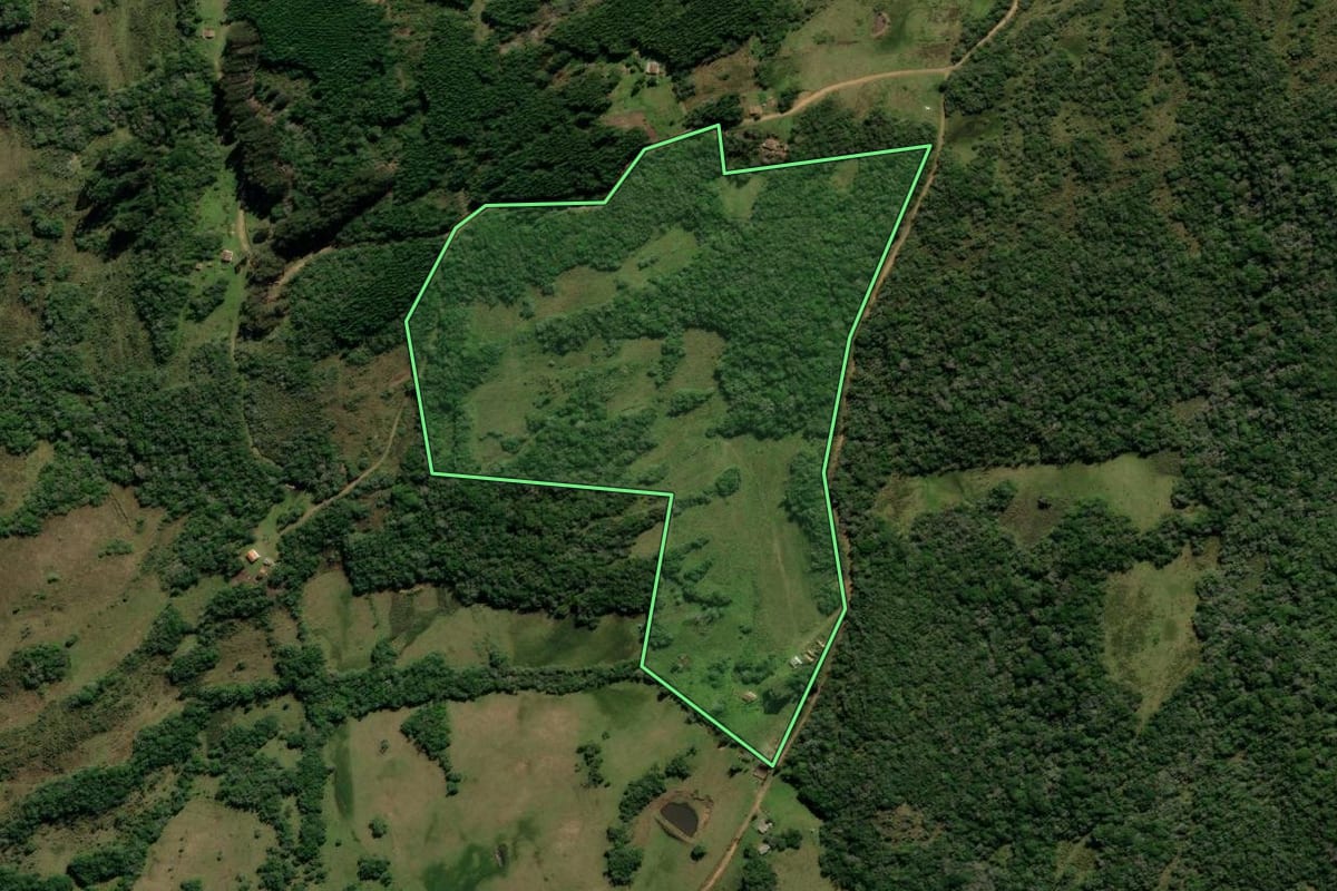 Imagem de satélite do imóvel rural em Canguçu (RS), com o contorno declarado no CAR desenhado por cima.