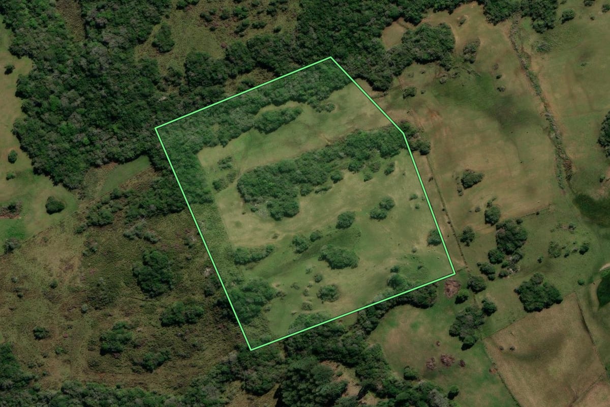 Imagem de satélite do imóvel rural em Canguçu (RS), com o contorno declarado no CAR desenhado por cima.