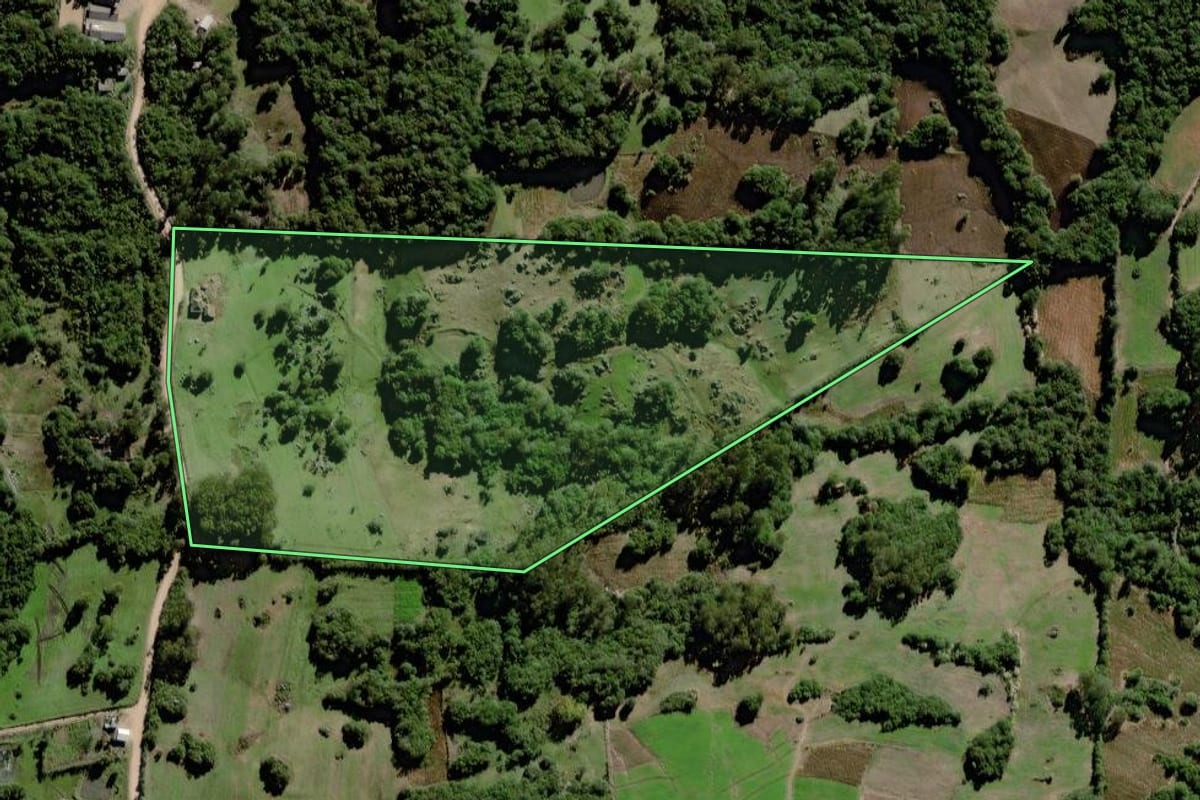 Imagem de satélite do imóvel rural em Canguçu (RS), com o contorno declarado no CAR desenhado por cima.