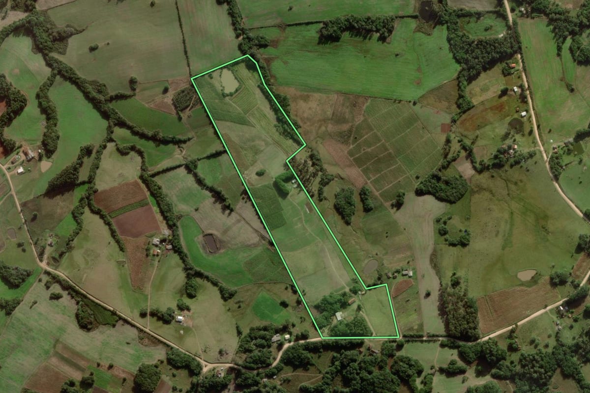 Imagem de satélite do imóvel rural em Canguçu (RS), com o contorno declarado no CAR desenhado por cima.