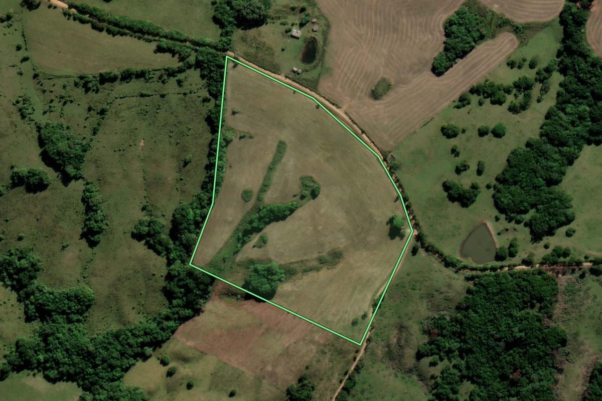 Imagem de satélite do imóvel rural em Canguçu (RS), com o contorno declarado no CAR desenhado por cima.