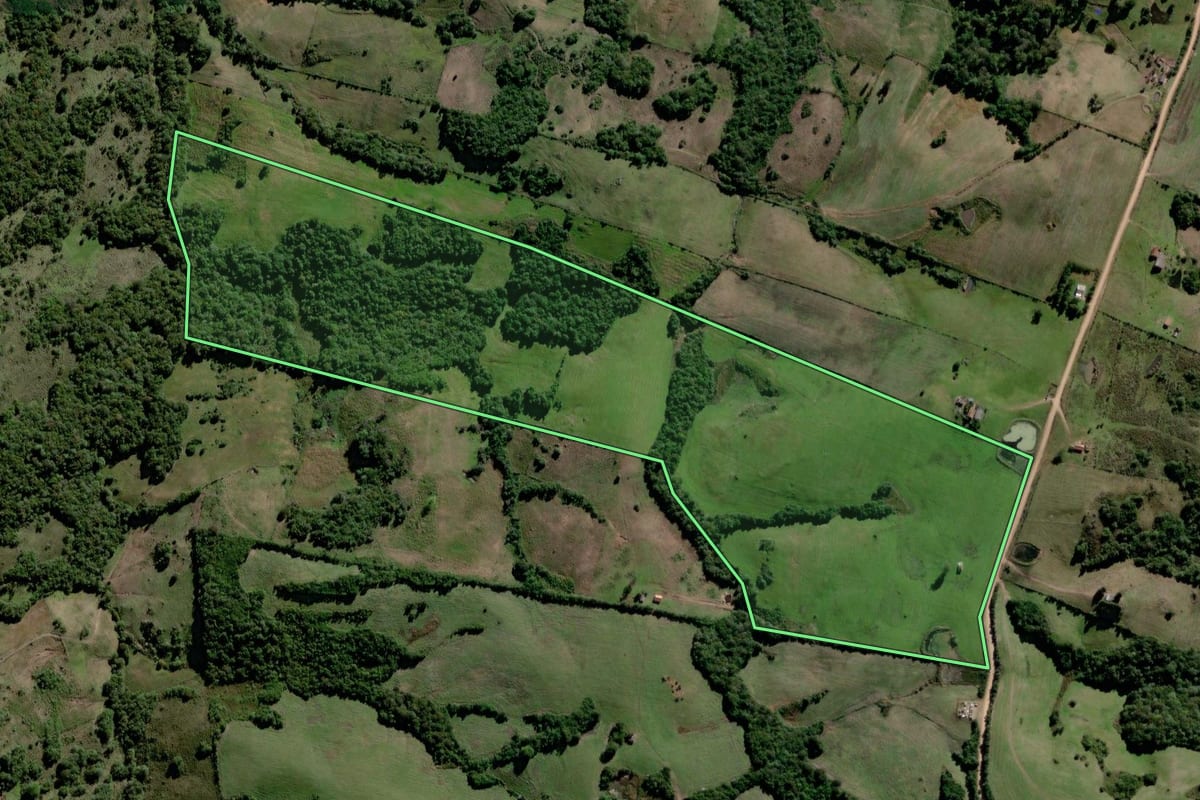 Imagem de satélite do imóvel rural em Canguçu (RS), com o contorno declarado no CAR desenhado por cima.