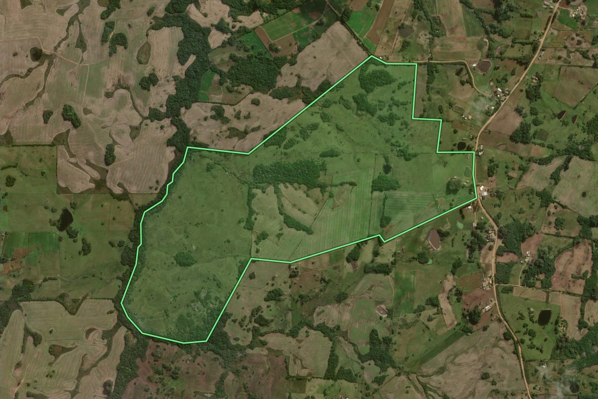 Imagem de satélite do imóvel rural em Canguçu (RS), com o contorno declarado no CAR desenhado por cima.