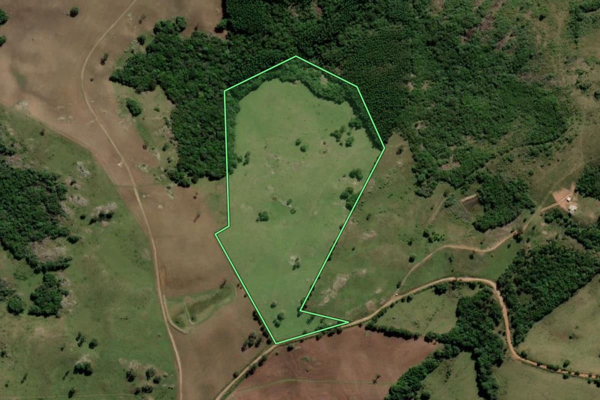 Imagem de satélite do imóvel rural em Canguçu (RS), com o contorno declarado no CAR desenhado por cima.