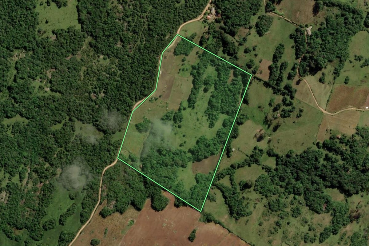 Imagem de satélite do imóvel rural em Canguçu (RS), com o contorno declarado no CAR desenhado por cima.