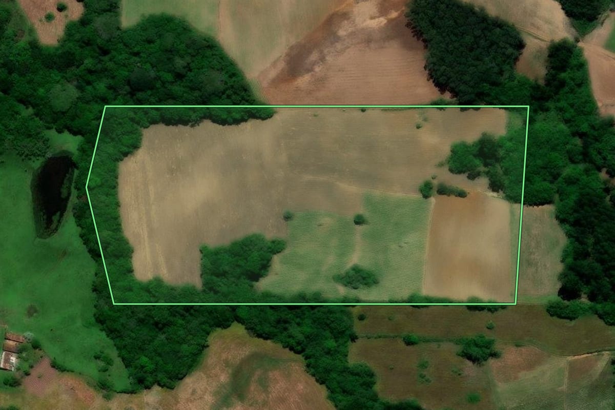 Imagem de satélite do imóvel rural em Canguçu (RS), com o contorno declarado no CAR desenhado por cima.