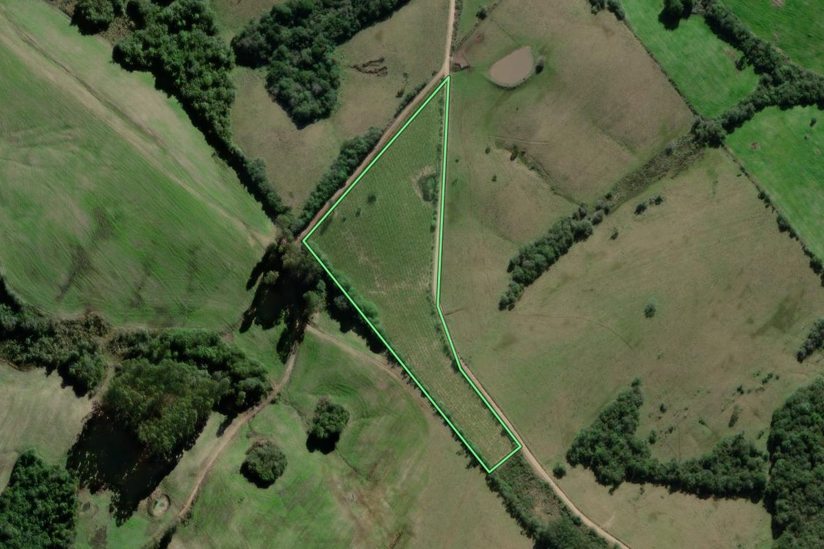 Imagem de satélite do imóvel rural em Canguçu (RS), com o contorno declarado no CAR desenhado por cima.