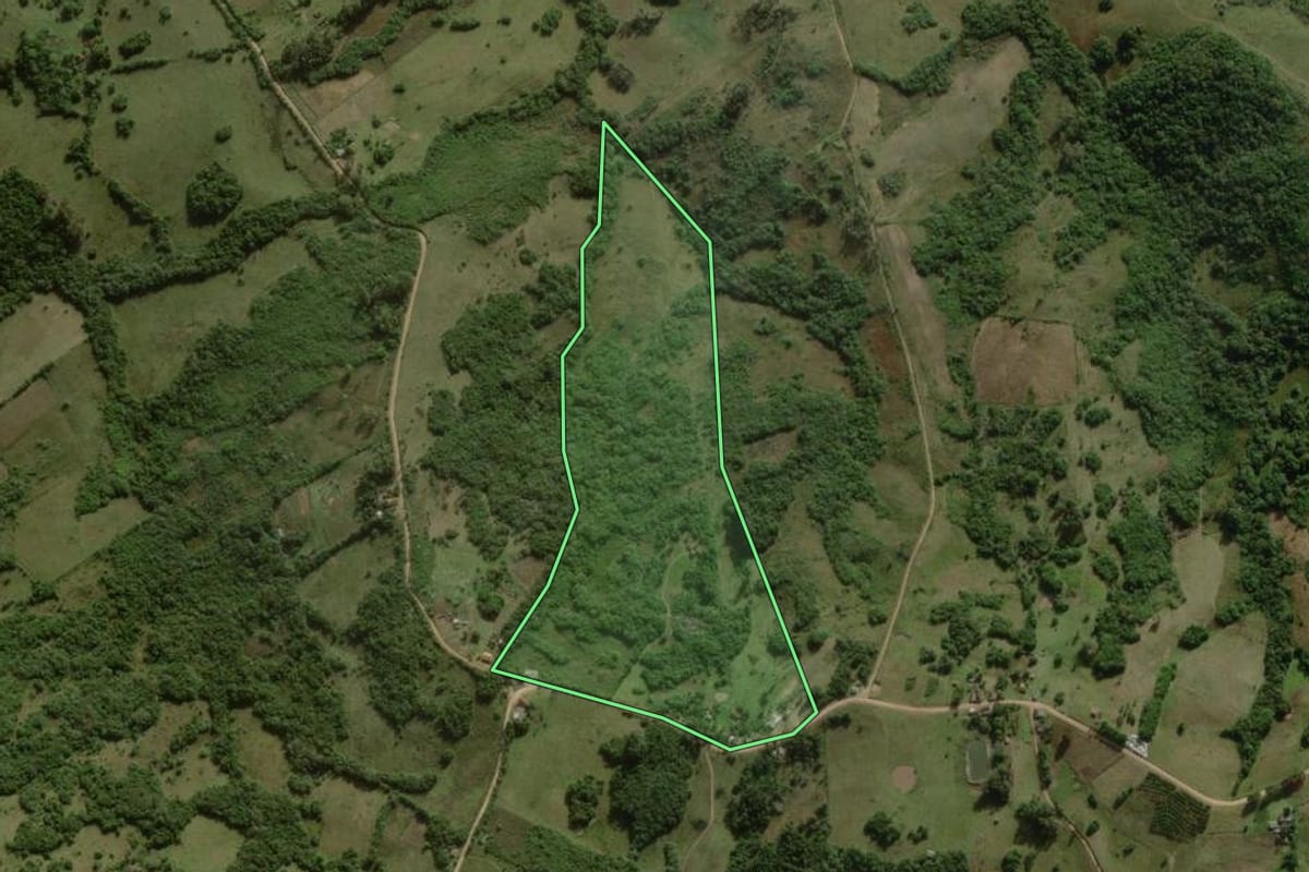 Imagem de satélite do imóvel rural em Canguçu (RS), com o contorno declarado no CAR desenhado por cima.