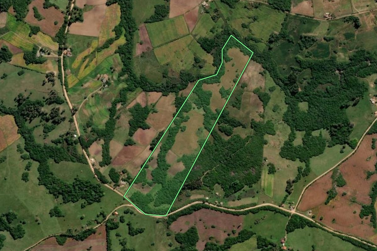 Imagem de satélite do imóvel rural em Canguçu (RS), com o contorno declarado no CAR desenhado por cima.