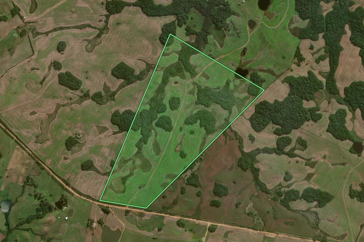 Imagem de satélite do imóvel rural em Canguçu (RS), com o contorno declarado no CAR desenhado por cima.
