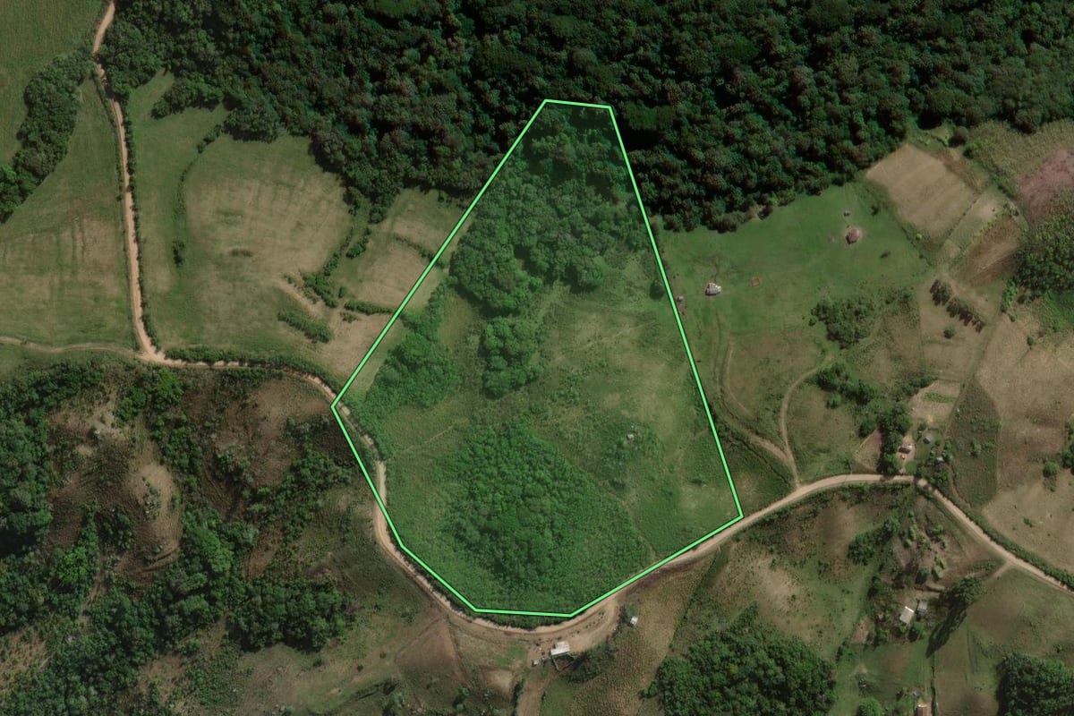 Imagem de satélite do imóvel rural em Canguçu (RS), com o contorno declarado no CAR desenhado por cima.
