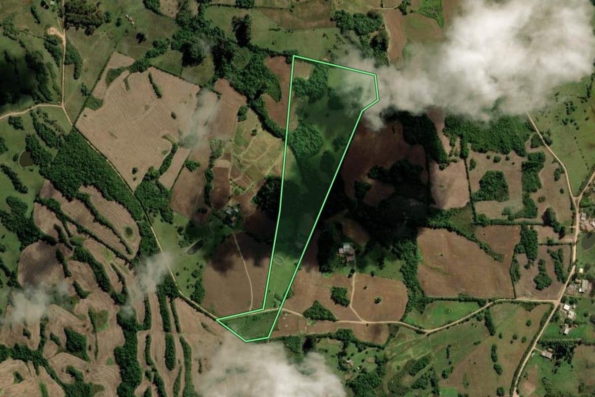 Imagem de satélite do imóvel rural em Canguçu (RS), com o contorno declarado no CAR desenhado por cima.