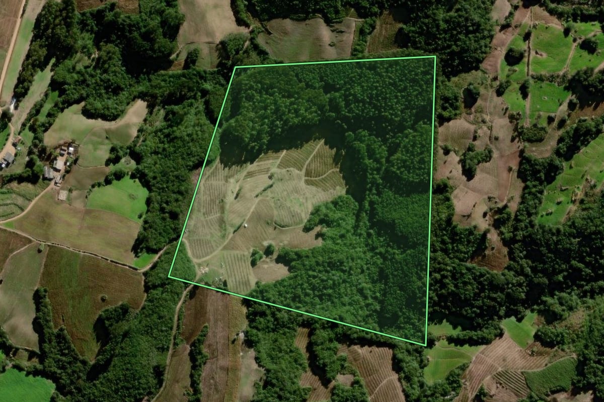 Imagem de satélite do imóvel rural em Canguçu (RS), com o contorno declarado no CAR desenhado por cima.