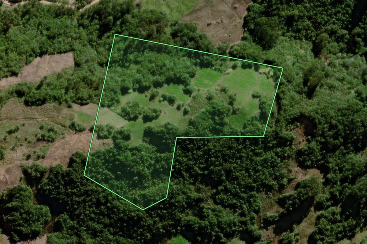 Imagem de satélite do imóvel rural em Canguçu (RS), com o contorno declarado no CAR desenhado por cima.