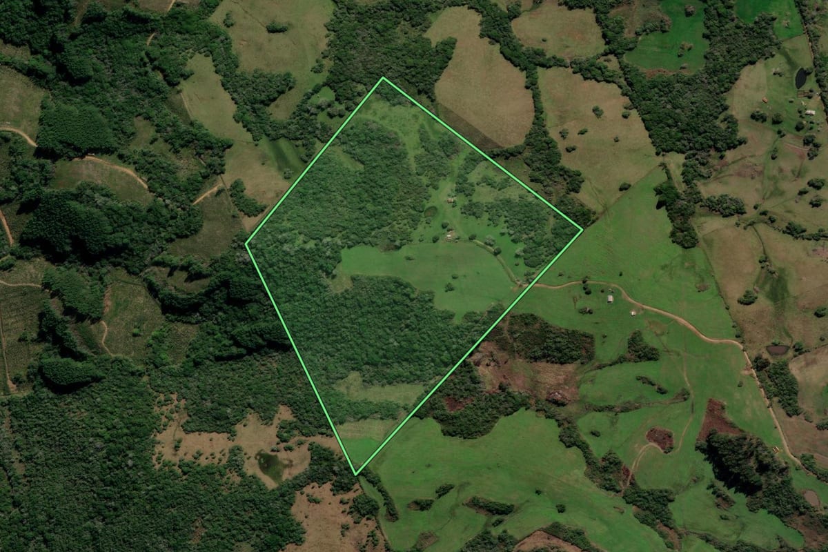 Imagem de satélite do imóvel rural em Canguçu (RS), com o contorno declarado no CAR desenhado por cima.