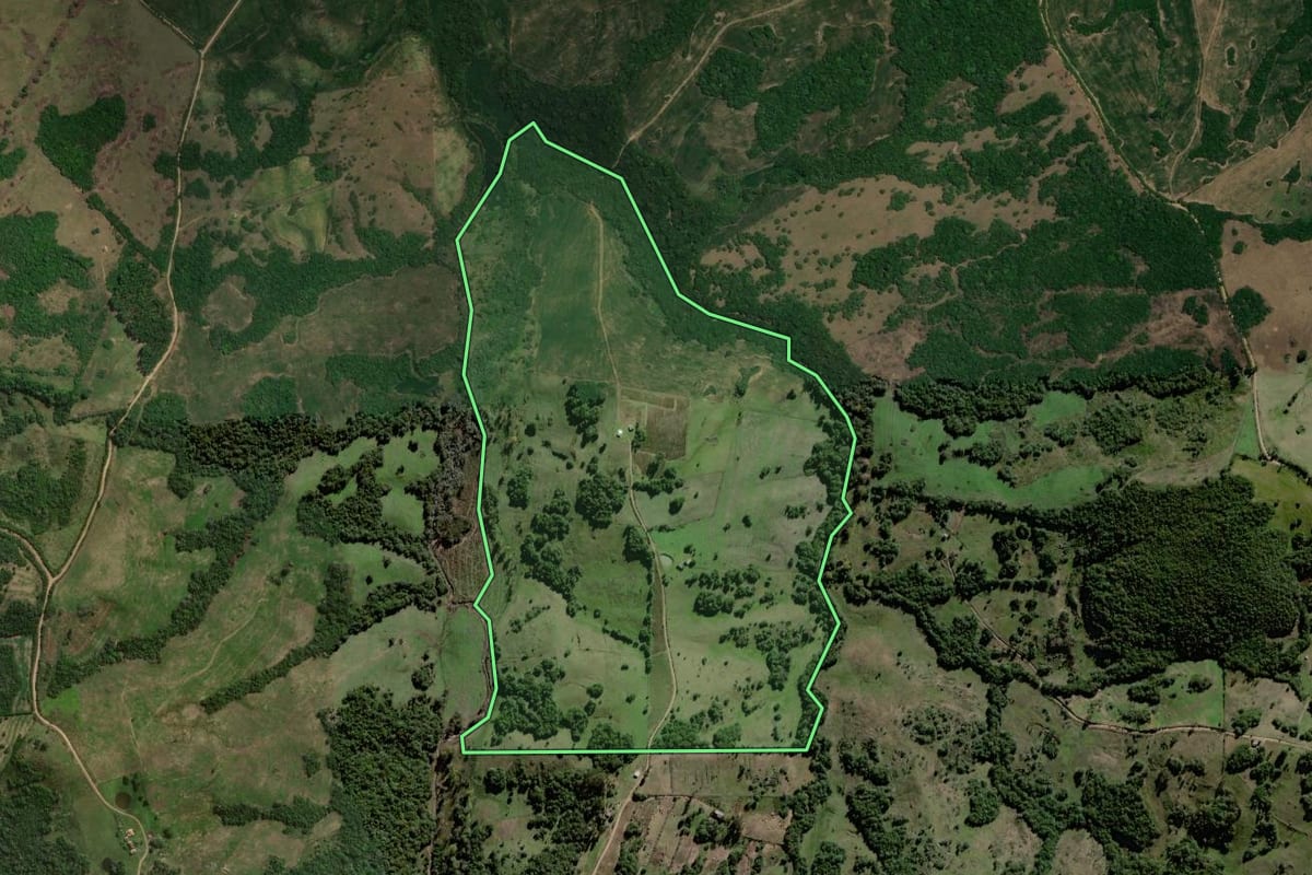 Imagem de satélite do imóvel rural em Canguçu (RS), com o contorno declarado no CAR desenhado por cima.