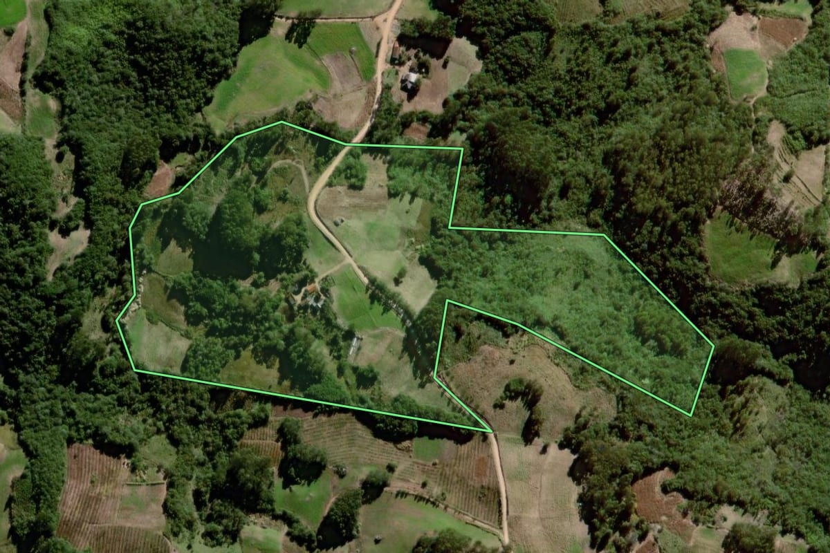 Imagem de satélite do imóvel rural em Canguçu (RS), com o contorno declarado no CAR desenhado por cima.