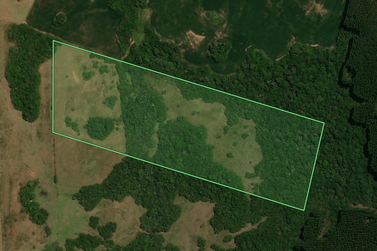 Imagem de satélite do imóvel rural em Canguçu (RS), com o contorno declarado no CAR desenhado por cima.
