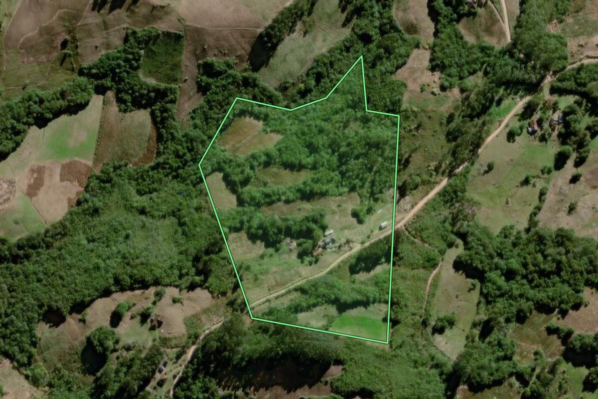 Imagem de satélite do imóvel rural em Canguçu (RS), com o contorno declarado no CAR desenhado por cima.