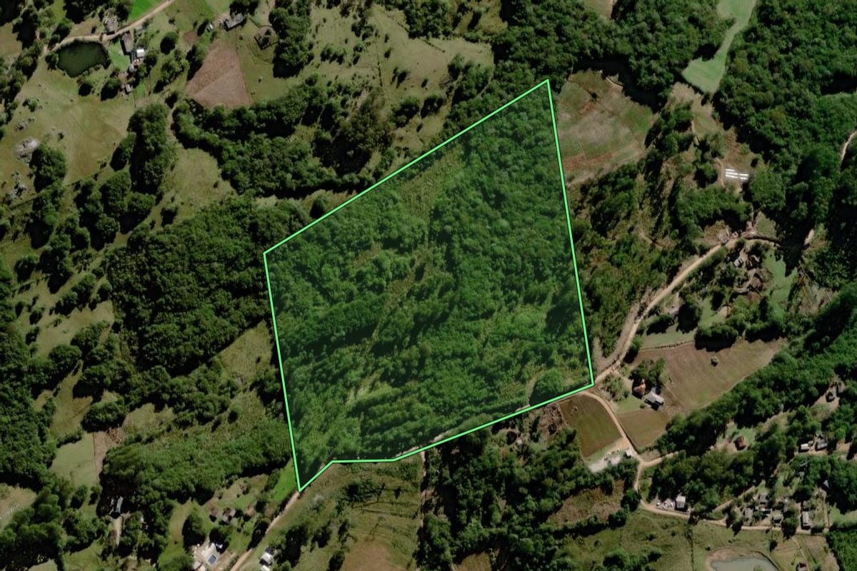 Imagem de satélite do imóvel rural em Canguçu (RS), com o contorno declarado no CAR desenhado por cima.