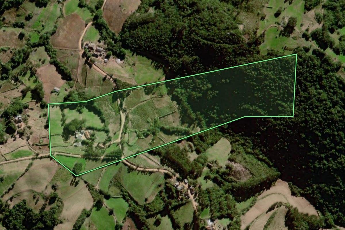 Imagem de satélite do imóvel rural em Canguçu (RS), com o contorno declarado no CAR desenhado por cima.