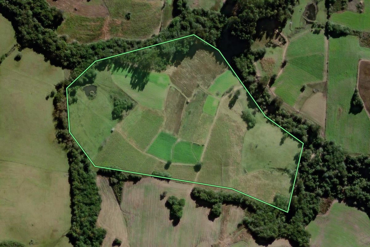 Imagem de satélite do imóvel rural em Canguçu (RS), com o contorno declarado no CAR desenhado por cima.