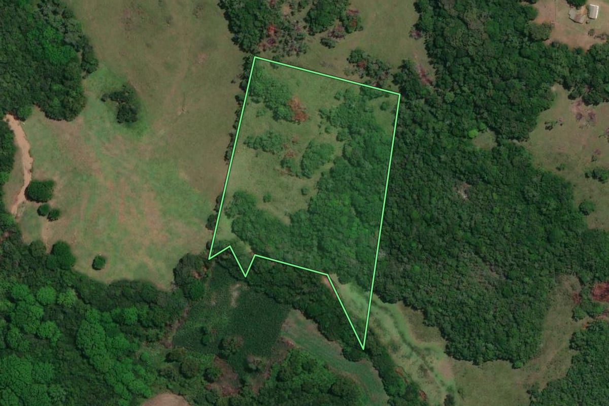 Imagem de satélite do imóvel rural em Canguçu (RS), com o contorno declarado no CAR desenhado por cima.