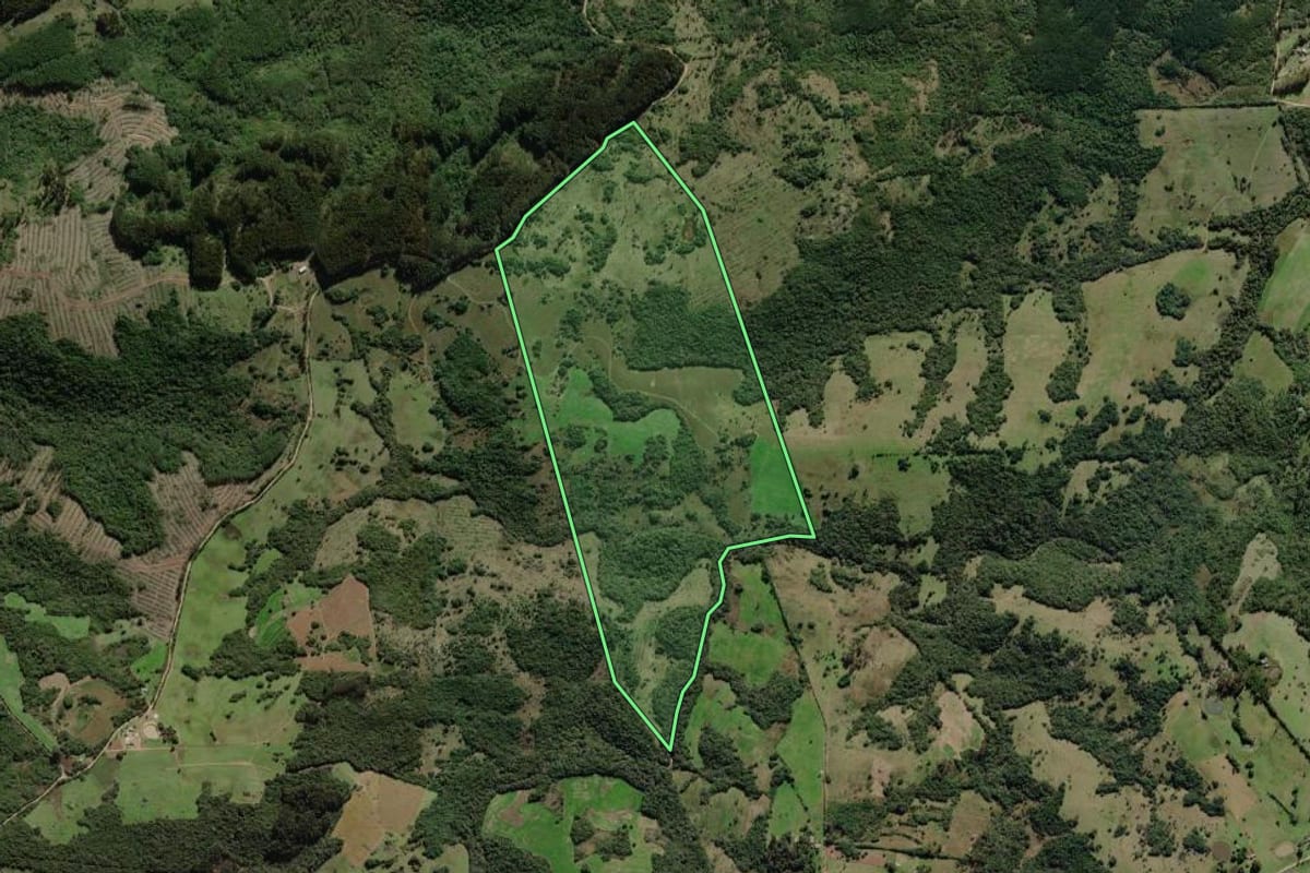 Imagem de satélite do imóvel rural em Canguçu (RS), com o contorno declarado no CAR desenhado por cima.