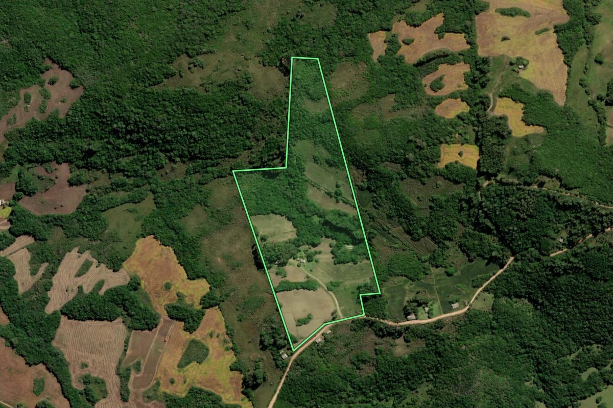 Imagem de satélite do imóvel rural em Canguçu (RS), com o contorno declarado no CAR desenhado por cima.