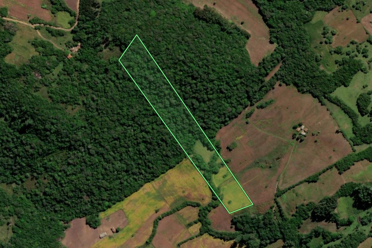 Imagem de satélite do imóvel rural em Canguçu (RS), com o contorno declarado no CAR desenhado por cima.