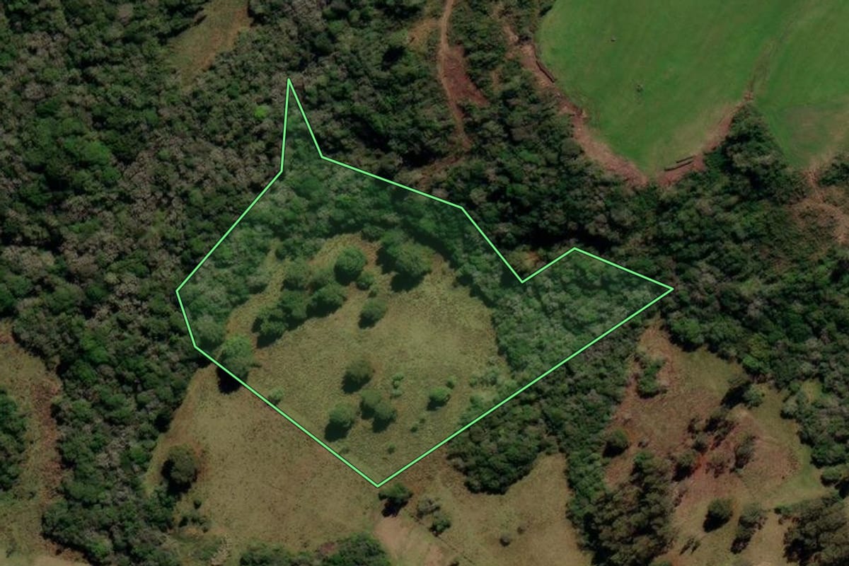 Imagem de satélite do imóvel rural em Canguçu (RS), com o contorno declarado no CAR desenhado por cima.