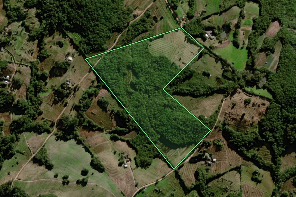 Imagem de satélite do imóvel rural em Canguçu (RS), com o contorno declarado no CAR desenhado por cima.