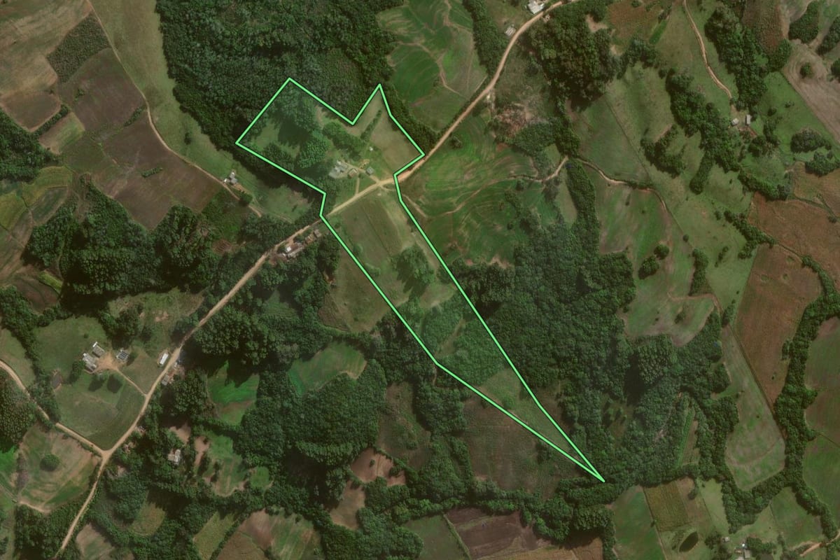 Imagem de satélite do imóvel rural em Canguçu (RS), com o contorno declarado no CAR desenhado por cima.