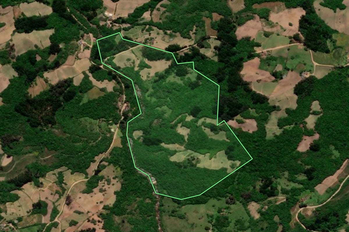 Imagem de satélite do imóvel rural em Canguçu (RS), com o contorno declarado no CAR desenhado por cima.