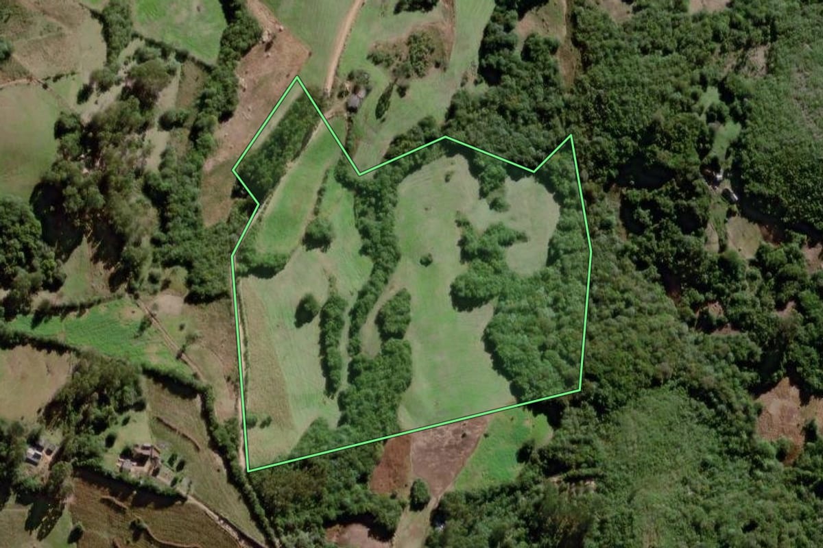 Imagem de satélite do imóvel rural em Canguçu (RS), com o contorno declarado no CAR desenhado por cima.