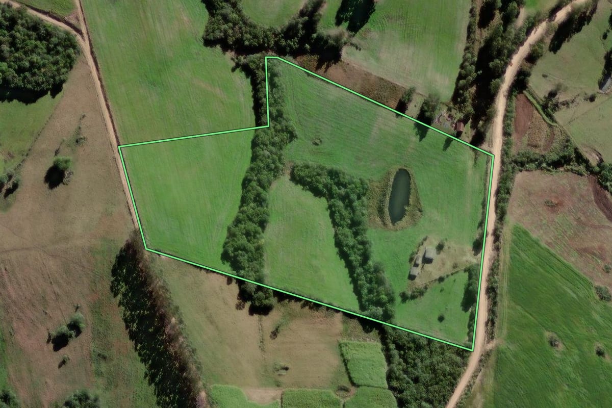 Imagem de satélite do imóvel rural em Canguçu (RS), com o contorno declarado no CAR desenhado por cima.