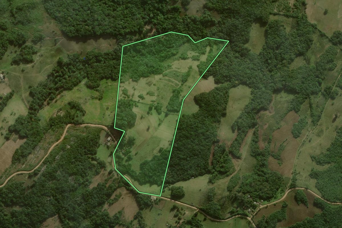 Imagem de satélite do imóvel rural em Canguçu (RS), com o contorno declarado no CAR desenhado por cima.