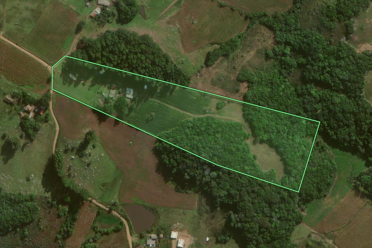 Imagem de satélite do imóvel rural em Canguçu (RS), com o contorno declarado no CAR desenhado por cima.