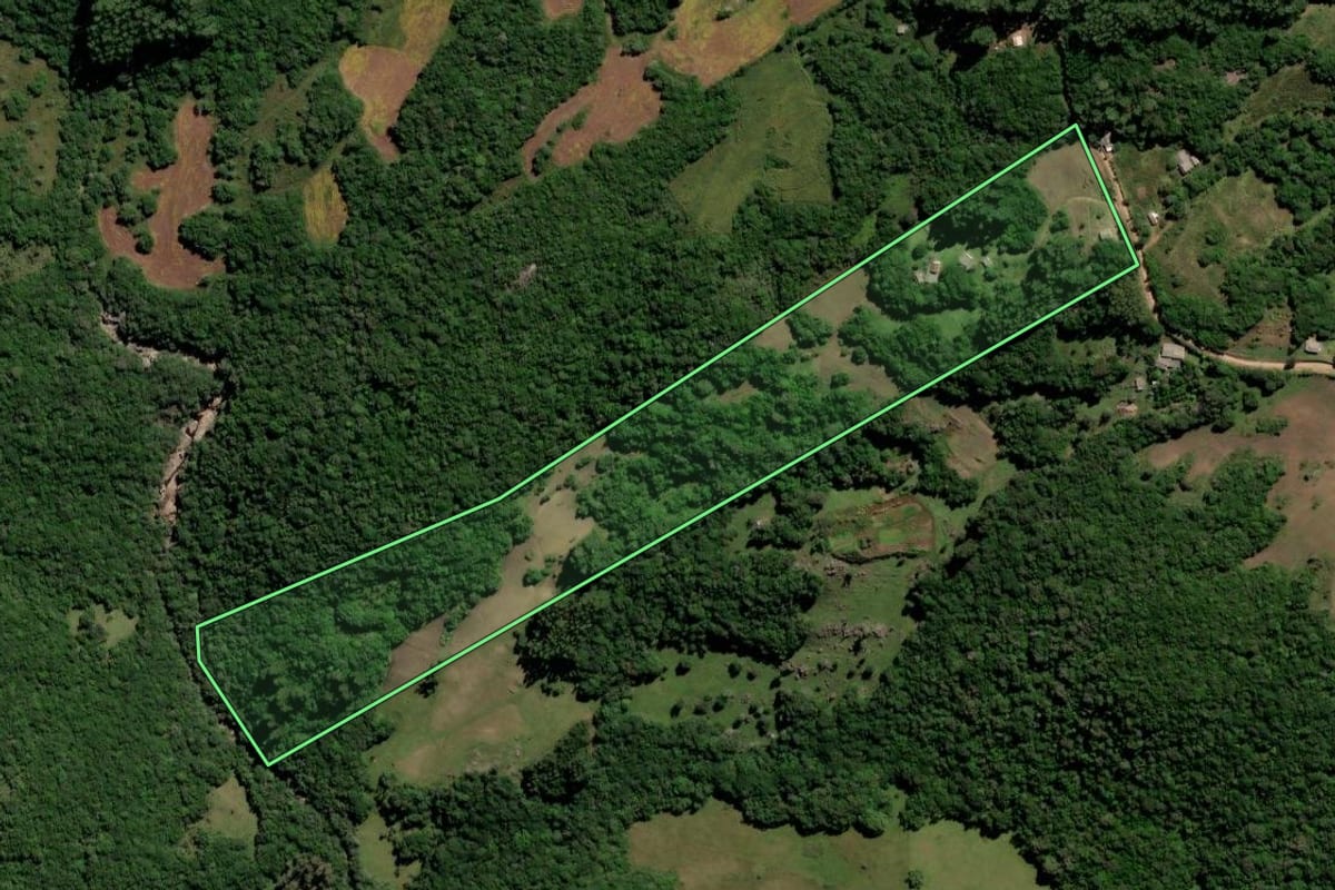 Imagem de satélite do imóvel rural em Canguçu (RS), com o contorno declarado no CAR desenhado por cima.